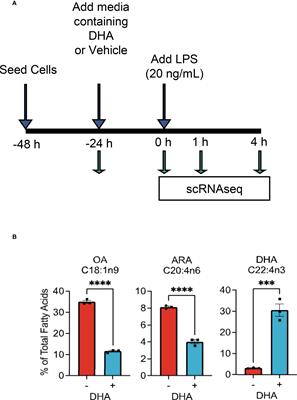 Single cell analysis of docosahexaenoic acid suppression of sequential LPS-induced proinflammatory and interferon-regulated gene expression in the macrophage